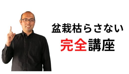 盆栽枯らさない完全講座